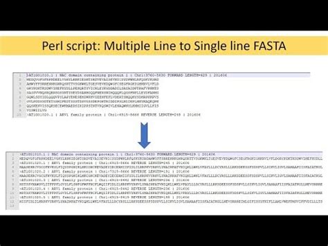 How to Convert a TXT File to FASTA .